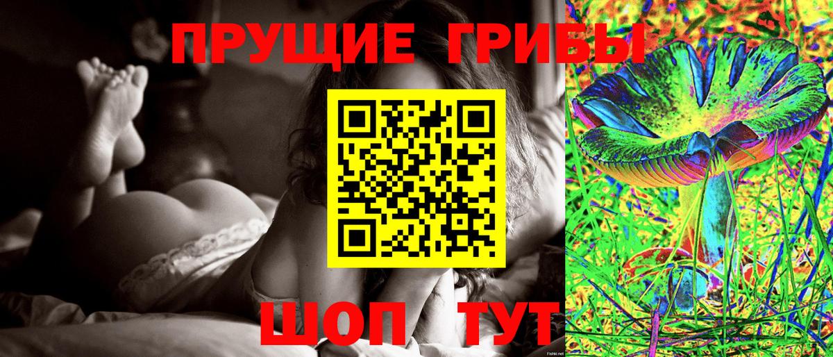 Псилоцибиновые грибы Cubensis Ставрополь